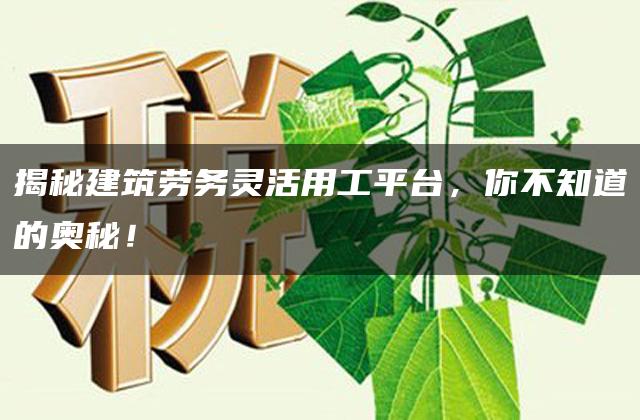 揭秘建筑劳务灵活用工平台，你不知道的奥秘！