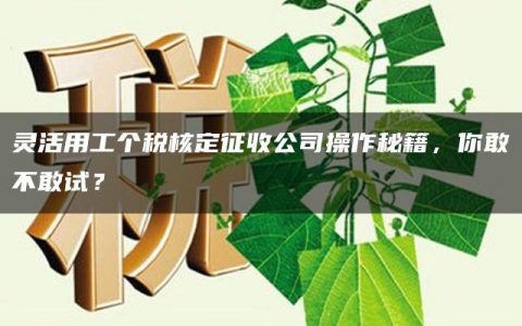 灵活用工个税核定征收公司操作秘籍，你敢不敢试？