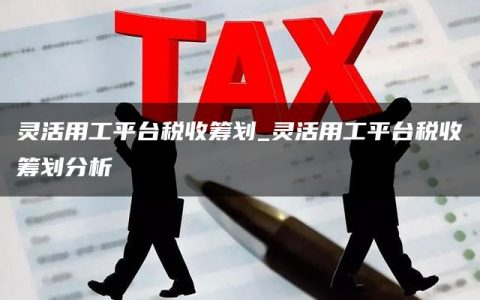 灵活用工平台税收筹划_灵活用工平台税收筹划分析