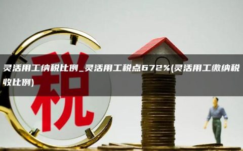 灵活用工纳税比例_灵活用工税点672%(灵活用工缴纳税收比例)