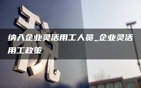 纳入企业灵活用工人员_企业灵活用工政策