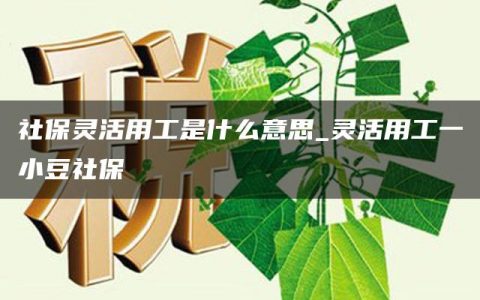 社保灵活用工是什么意思_灵活用工一小豆社保