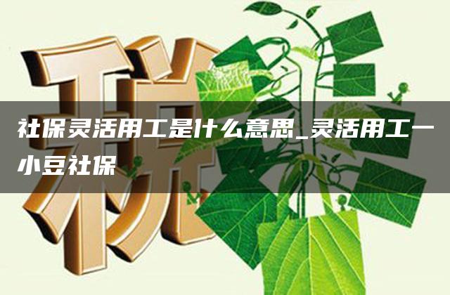 社保灵活用工是什么意思_灵活用工一小豆社保