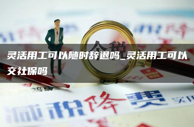 灵活用工可以随时辞退吗_灵活用工可以交社保吗