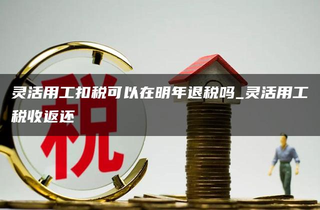 灵活用工扣税可以在明年退税吗_灵活用工税收返还