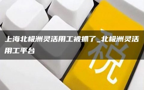 上海北极洲灵活用工被抓了_北极洲灵活用工平台