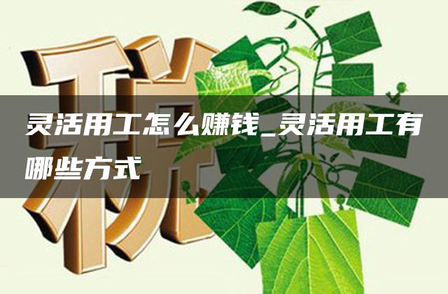 灵活用工怎么赚钱_灵活用工有哪些方式