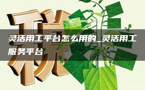 灵活用工平台怎么用的_灵活用工服务平台