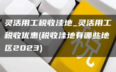 灵活用工税收洼地_灵活用工税收优惠(税收洼地有哪些地区2023)