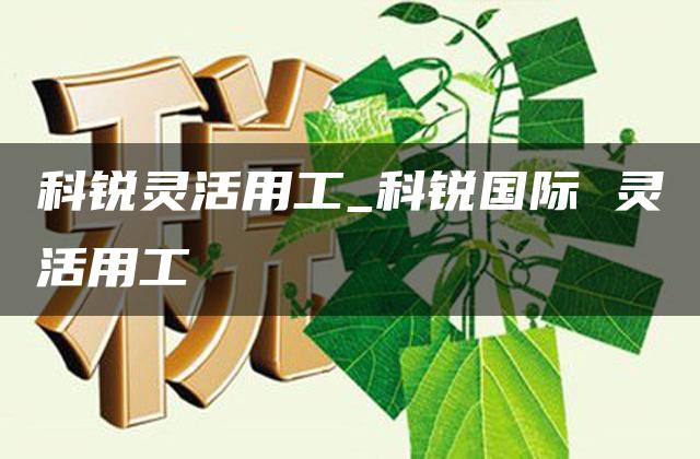 科锐灵活用工_科锐国际 灵活用工