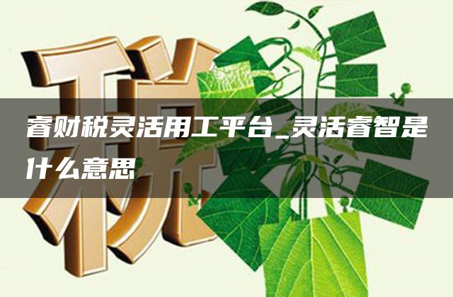 睿财税灵活用工平台_灵活睿智是什么意思