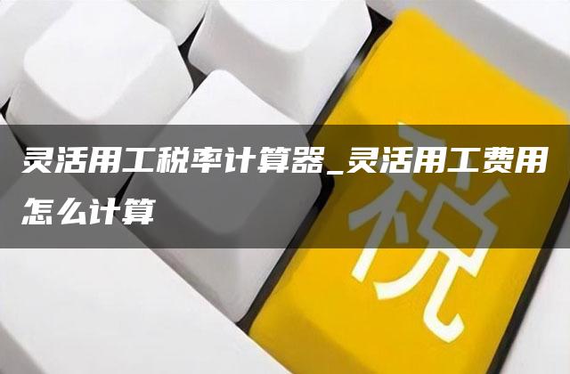 灵活用工税率计算器_灵活用工费用怎么计算