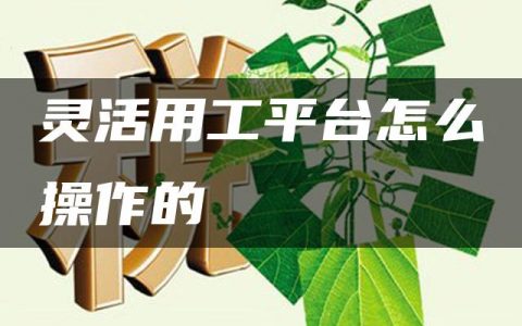 灵活用工平台怎么操作的