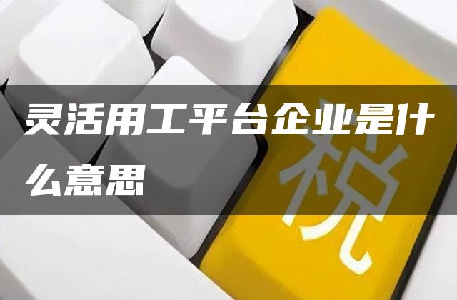 灵活用工平台企业是什么意思