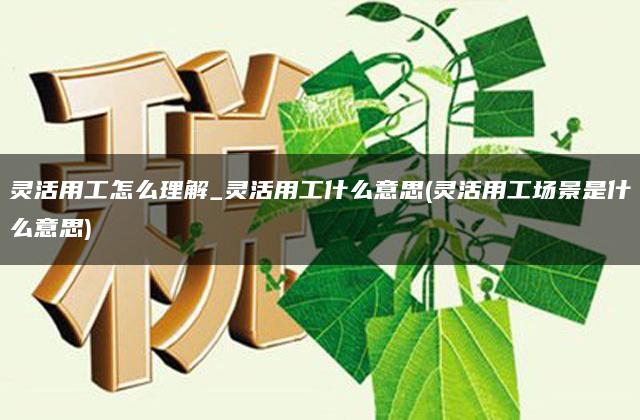 灵活用工怎么理解_灵活用工什么意思(灵活用工场景是什么意思)