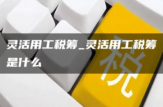 灵活用工税筹_灵活用工税筹是什么