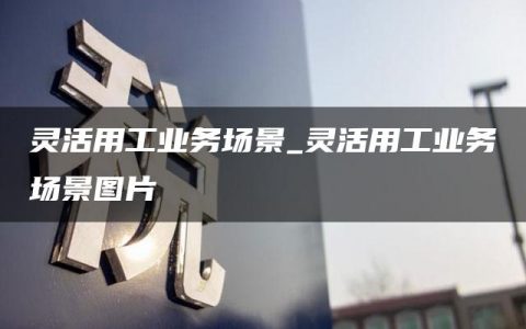 灵活用工业务场景_灵活用工业务场景图片