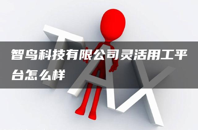 智鸟科技有限公司灵活用工平台怎么样