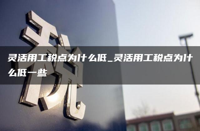 灵活用工税点为什么低_灵活用工税点为什么低一些