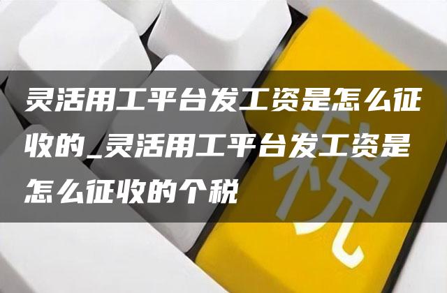 灵活用工平台发工资是怎么征收的_灵活用工平台发工资是怎么征收的个税