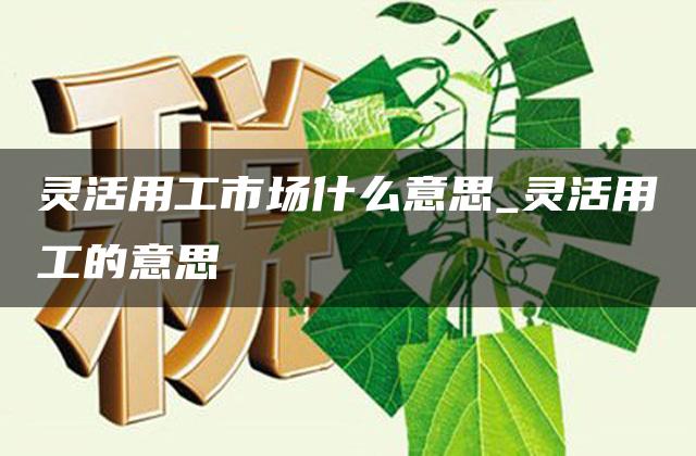 灵活用工市场什么意思_灵活用工的意思