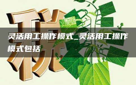 灵活用工操作模式_灵活用工操作模式包括