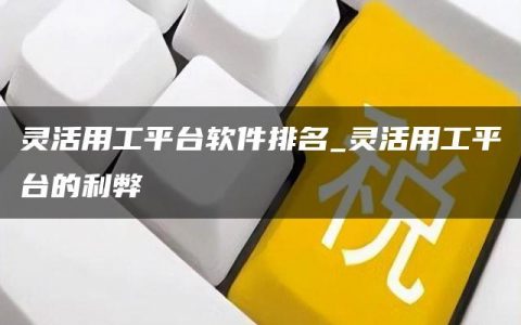 灵活用工平台软件排名_灵活用工平台的利弊