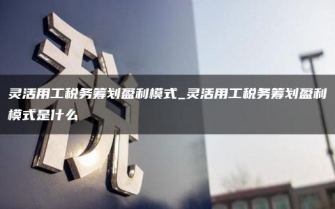 灵活用工税务筹划盈利模式_灵活用工税务筹划盈利模式是什么