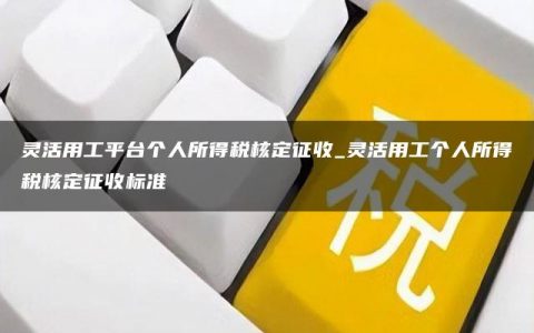 灵活用工平台个人所得税核定征收_灵活用工个人所得税核定征收标准