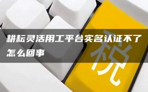 耕耘灵活用工平台实名认证不了怎么回事