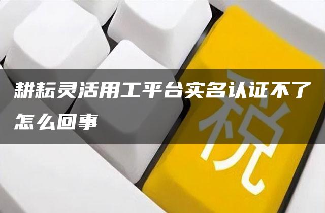 耕耘灵活用工平台实名认证不了怎么回事