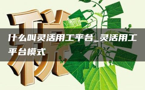 什么叫灵活用工平台_灵活用工平台模式