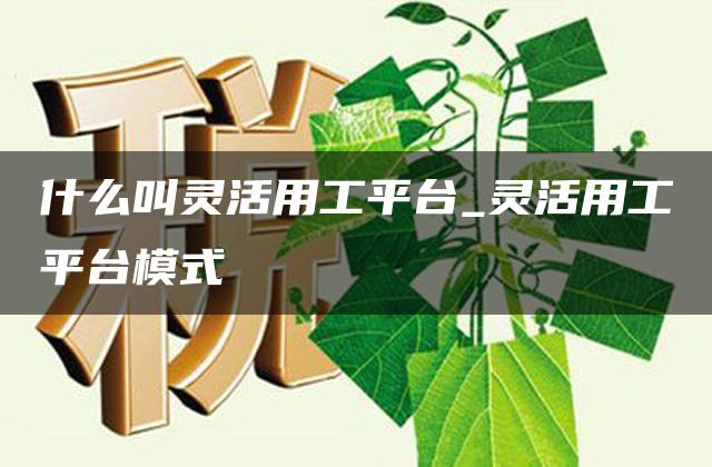 什么叫灵活用工平台_灵活用工平台模式