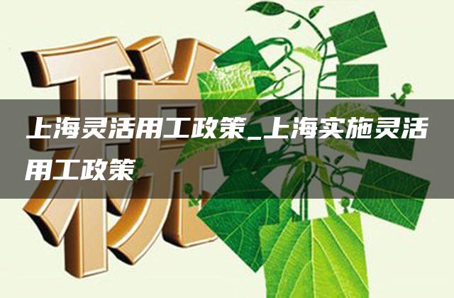 上海灵活用工政策_上海实施灵活用工政策