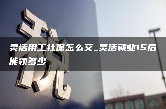 灵活用工社保怎么交_灵活就业15后能领多少