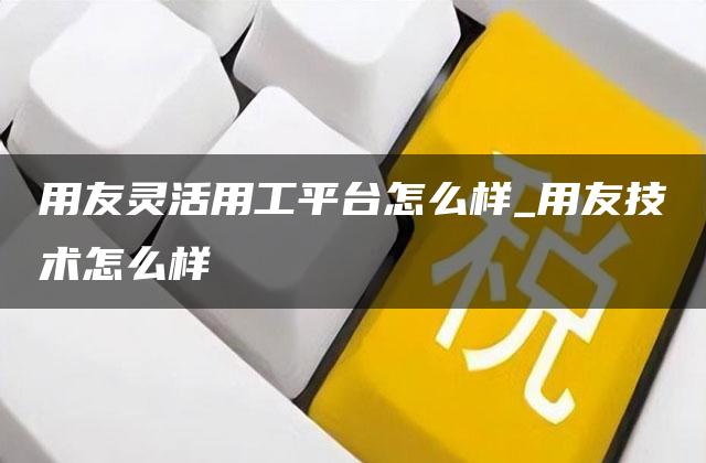 用友灵活用工平台怎么样_用友技术怎么样