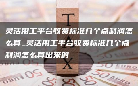 灵活用工平台收费标准几个点利润怎么算_灵活用工平台收费标准几个点利润怎么算出来的