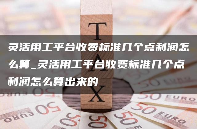 灵活用工平台收费标准几个点利润怎么算_灵活用工平台收费标准几个点利润怎么算出来的