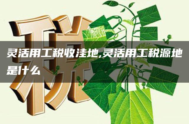 灵活用工税收洼地,灵活用工税源地是什么