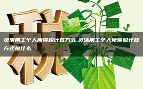 灵活用工个人所得税计算方式,灵活用工个人所得税计算方式是什么