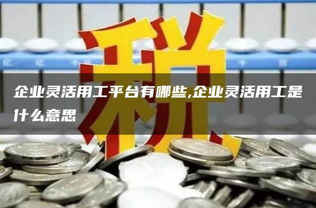 企业灵活用工平台有哪些,企业灵活用工是什么意思