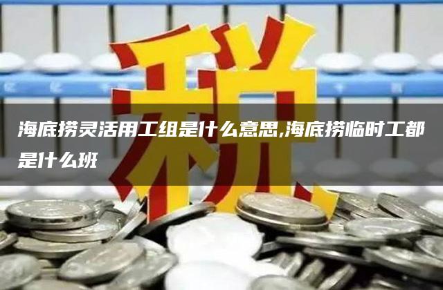 海底捞灵活用工组是什么意思,海底捞临时工都是什么班