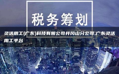 灵活用工(广东)科技有限公司井冈山分公司,广东灵活用工平台