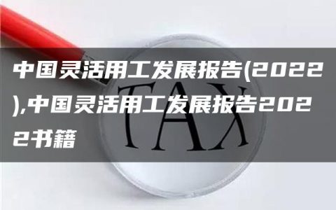 中国灵活用工发展报告(2022),中国灵活用工发展报告2022书籍