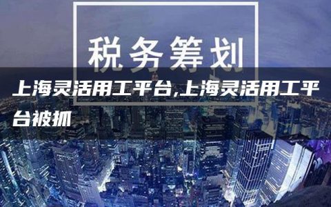 上海灵活用工平台,上海灵活用工平台被抓