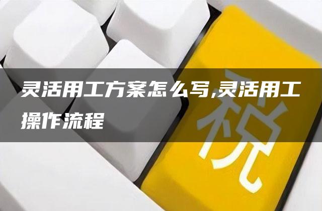 灵活用工方案怎么写,灵活用工操作流程