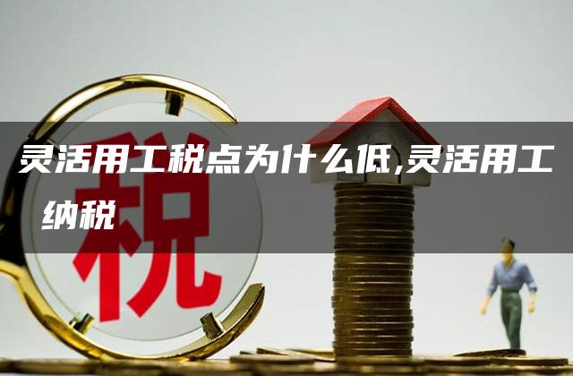 灵活用工税点为什么低,灵活用工 纳税