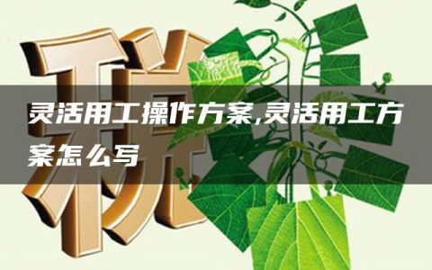 灵活用工操作方案,灵活用工方案怎么写