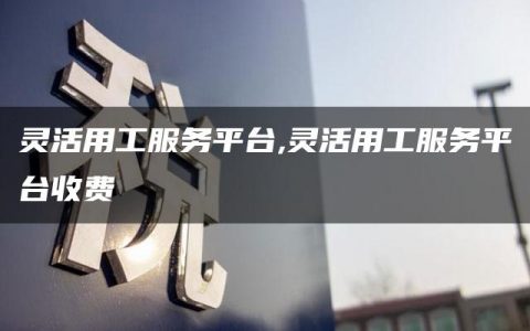 灵活用工服务平台,灵活用工服务平台收费