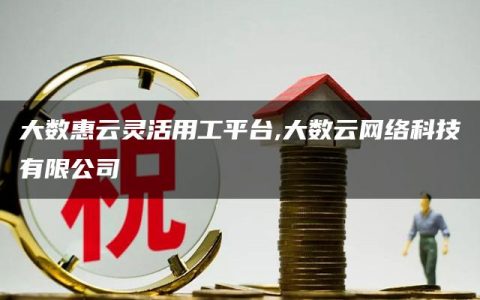 大数惠云灵活用工平台,大数云网络科技有限公司